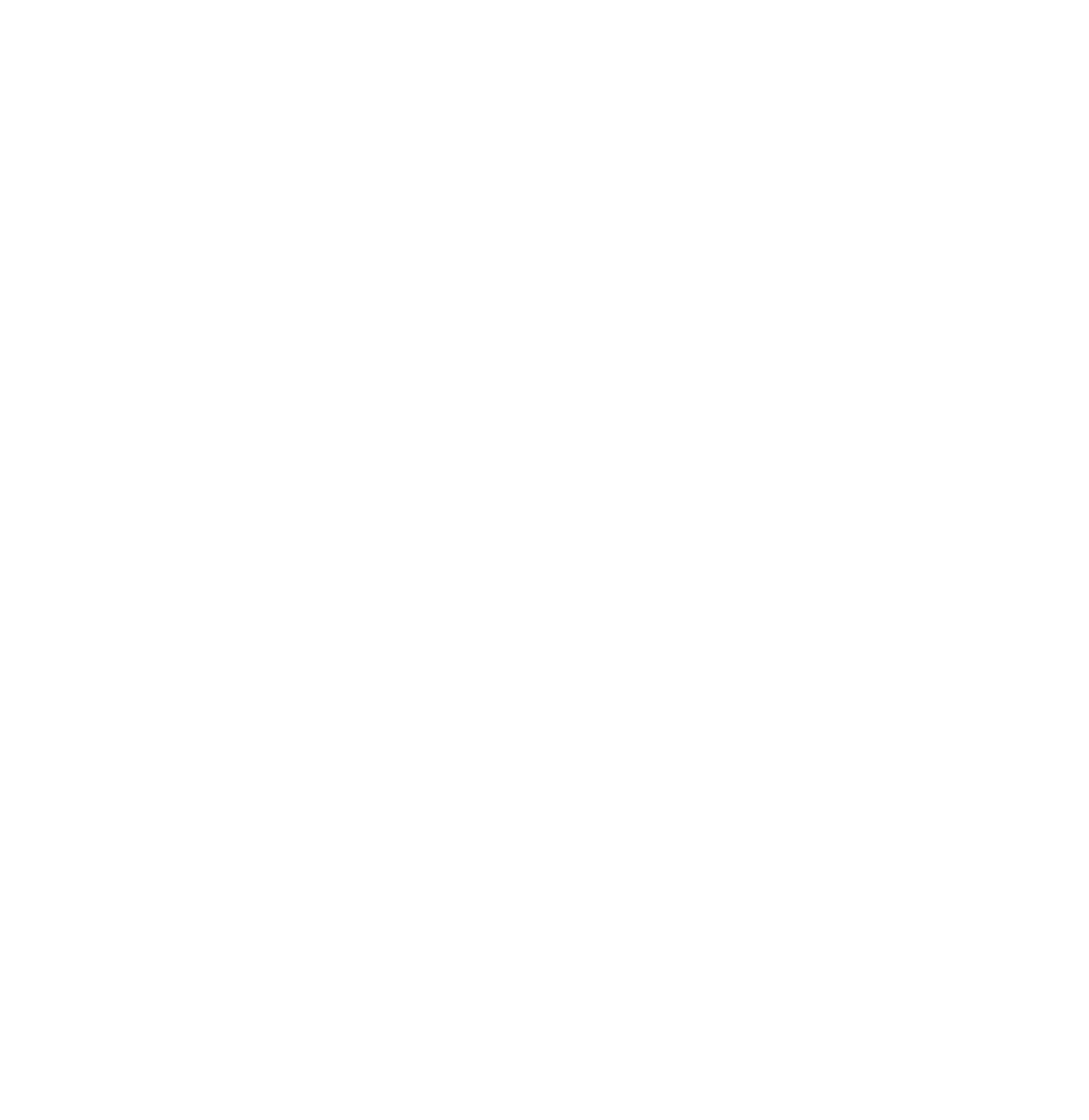 Proemote Logo